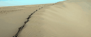 內(nèi)蒙古自治區(qū)防沙治沙工程 內(nèi)蒙古自治區(qū)防沙治沙工程